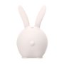 Câble USB Celly WSRABBIT