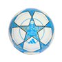 Ballon de Football Adidas UCL TRN JP1534 Blanc Taille 5