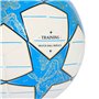 Ballon de Football Adidas UCL TRN JP1534 Blanc Taille 5