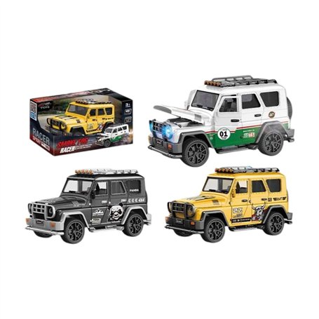 Voiture Spray Wrangler