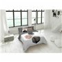 Housse de Couette Naturals Nori 260 x 240 cm