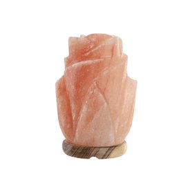 Lampe de bureau Home ESPRIT Rose 15 W 220 V Lampe de bureau Home ESPRIT Rose 15 W 220 V