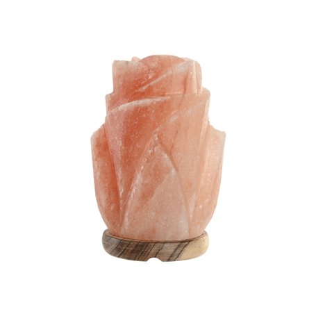 Lampe de bureau Home ESPRIT Rose 15 W 220 V