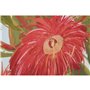 Cadre Home ESPRIT Jaune Bleu Fleurs Shabby Chic 100 x 4 x 100 cm (2 Unités)