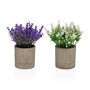 Plante décorative Versa Fer Textile Plastique 7 x 16 cm