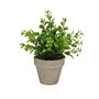 Plante décorative Versa Fer Textile Plastique 11 x 26 cm