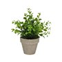 Plante décorative Versa Fer Textile Plastique 11 x 26 cm