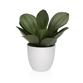 Plante décorative Versa Fer Textile Plastique 25 x 23 cm