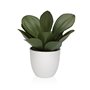 Plante décorative Versa Fer Textile Plastique 25 x 23 cm