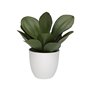 Plante décorative Versa Fer Textile Plastique 25 x 23 cm