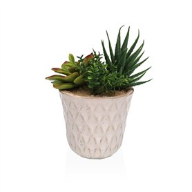 Plante décorative Versa Céramique Plastique Fusion Succulent 7