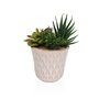 Plante décorative Versa Céramique Plastique Fusion Succulent 7
