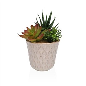 Plante décorative Versa Céramique Plastique Fusion Succulent 7