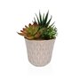 Plante décorative Versa Céramique Plastique Fusion Succulent 7