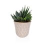 Plante décorative Versa Céramique Plastique Fusion Succulent 7