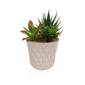 Plante décorative Versa Céramique Plastique Fusion Succulent 7