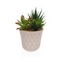 Plante décorative Versa Céramique Plastique Fusion Succulent 7