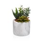 Plante décorative Versa Céramique Plastique Fusion Succulent 9 x 15 x 9 cm
