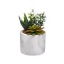 Plante décorative Versa Céramique Plastique Fusion Succulent 9 x 15 x 9 cm