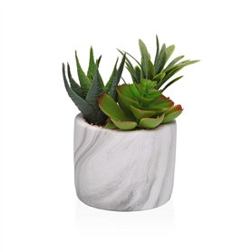 Plante décorative Versa Céramique Plastique Fusion Succulent 9 x 15 x 9 cm