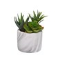 Plante décorative Versa Céramique Plastique Fusion Succulent 9 x 15 x 9 cm