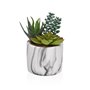 Plante décorative Versa Céramique Plastique Fusion Succulent 9 x 15 x 9 cm