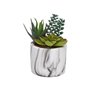 Plante décorative Versa Céramique Plastique Fusion Succulent 9 x 15 x 9 cm