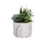 Plante décorative Versa Céramique Plastique Fusion Succulent 9 x 15 x 9 cm