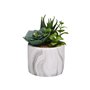 Plante décorative Versa Céramique Plastique Fusion Succulent 9 x 15 x 9 cm