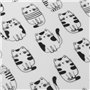 2 cm Chat