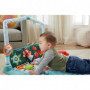 FISHER-PRICE - Mon Tapis - Cabane 3 En 1 - jouet naissance 1er age - 0 mois et + 109,99 €