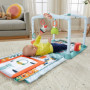 FISHER-PRICE - Mon Tapis - Cabane 3 En 1 - jouet naissance 1er age - 0 mois et + 109,99 €