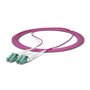 Câble USB Startech OM4RLCLC5M Violet 5 m