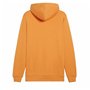Sweat à capuche homme Puma Essentials Gris XXL