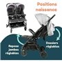 Poussette pour bébé Bambisol Gris