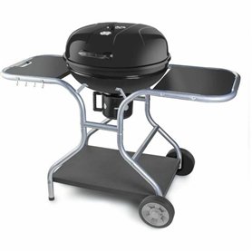 Barbecue Portable Fieldmann FZG 1014 Métal Acier