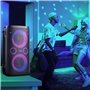 Haut-parleurs bluetooth portables Hisense Noir 300 W