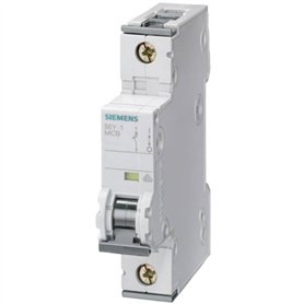 Siemens 5SY41027 5SY4102-7 Disjoncteur 2 A