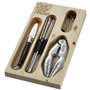 Laguiole Jean Dubost 97916 Coffret Set Fruits de Mer Couteau Huître 6 Curettes Homards 6 Pics 1 Pince Crabe
