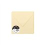Clairefontaine 5843C - Paquet de 20 Enveloppes Gommées - Format Carré 16