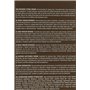 Postquam - Correcteur de Rides Always Young - Sérum Anti-Âge avec Extrait de Caviar, Peptides et Acide Hyaluronique - Sérum Anti