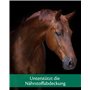 EQUISTRO® Mega Base | Complément Alimentaire pour Chevaux | Aliment minéral de qualité supérieure pour Soutenir Les Besoins nutr