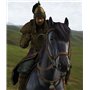 Civilization V Game of the Year Edition PC