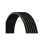 Continental Contitech 6PK780 ELAST Courroie trapézoïdale à nervures