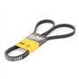 Continental Contitech 5PK1765 Courroie trapézoïdale à nervures