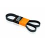 Continental Contitech 6PK1800 Courroie trapézoïdale à nervures