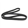 Continental Contitech 6PK2050 Courroie trapézoïdale à nervures