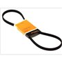 Continental Contitech 4PK698 Courroie trapézoïdale à nervures