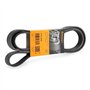 Continental Contitech 6PK2030 Courroie trapézoïdale à nervures