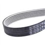 Continental Contitech 6PK2196 Courroie trapézoïdale à nervures